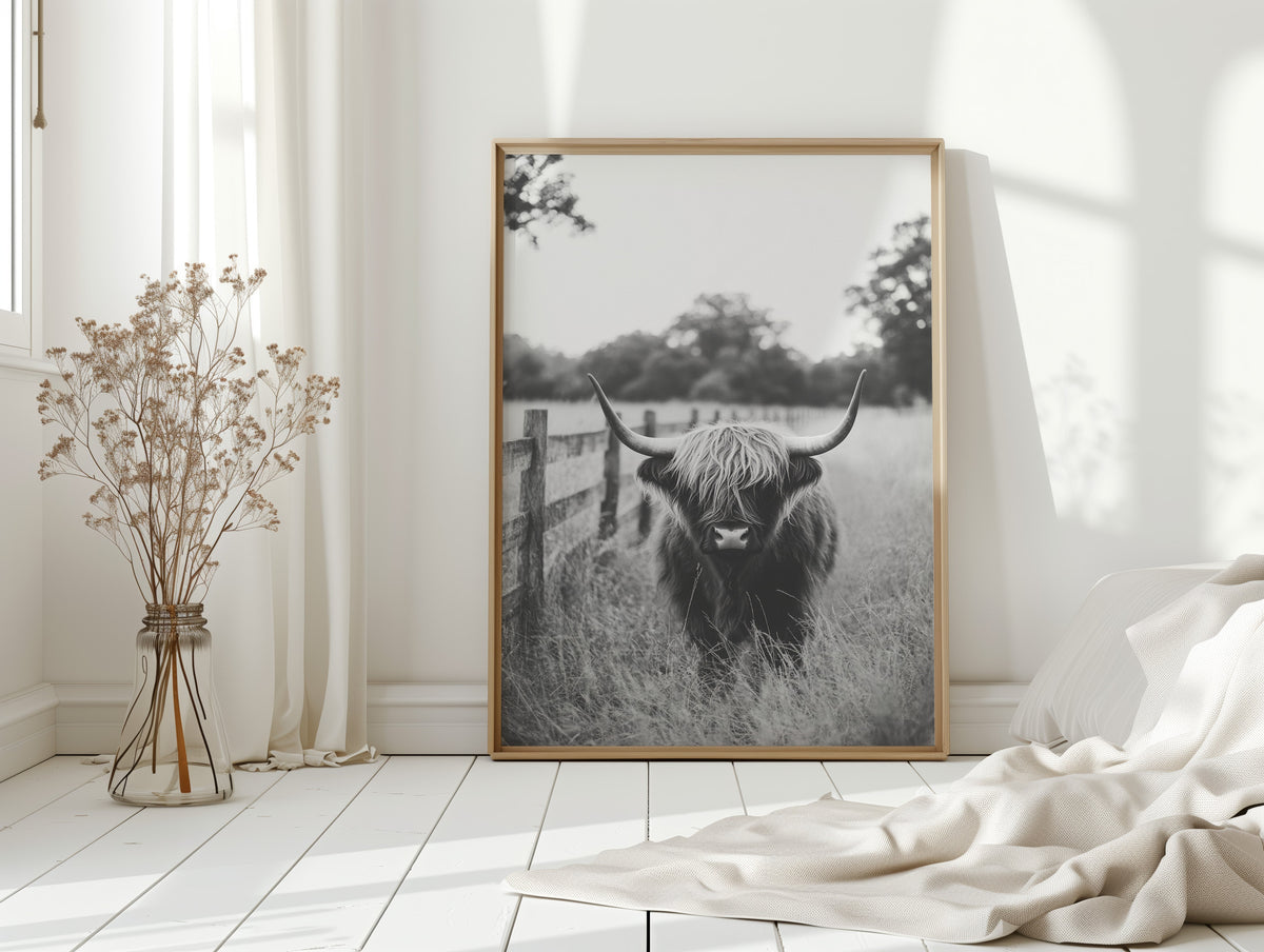 Highland Gaze in Black and White