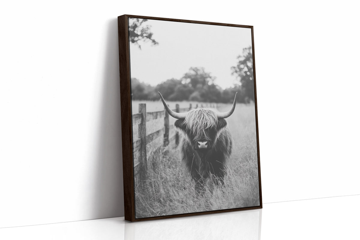 Highland Gaze in Black and White