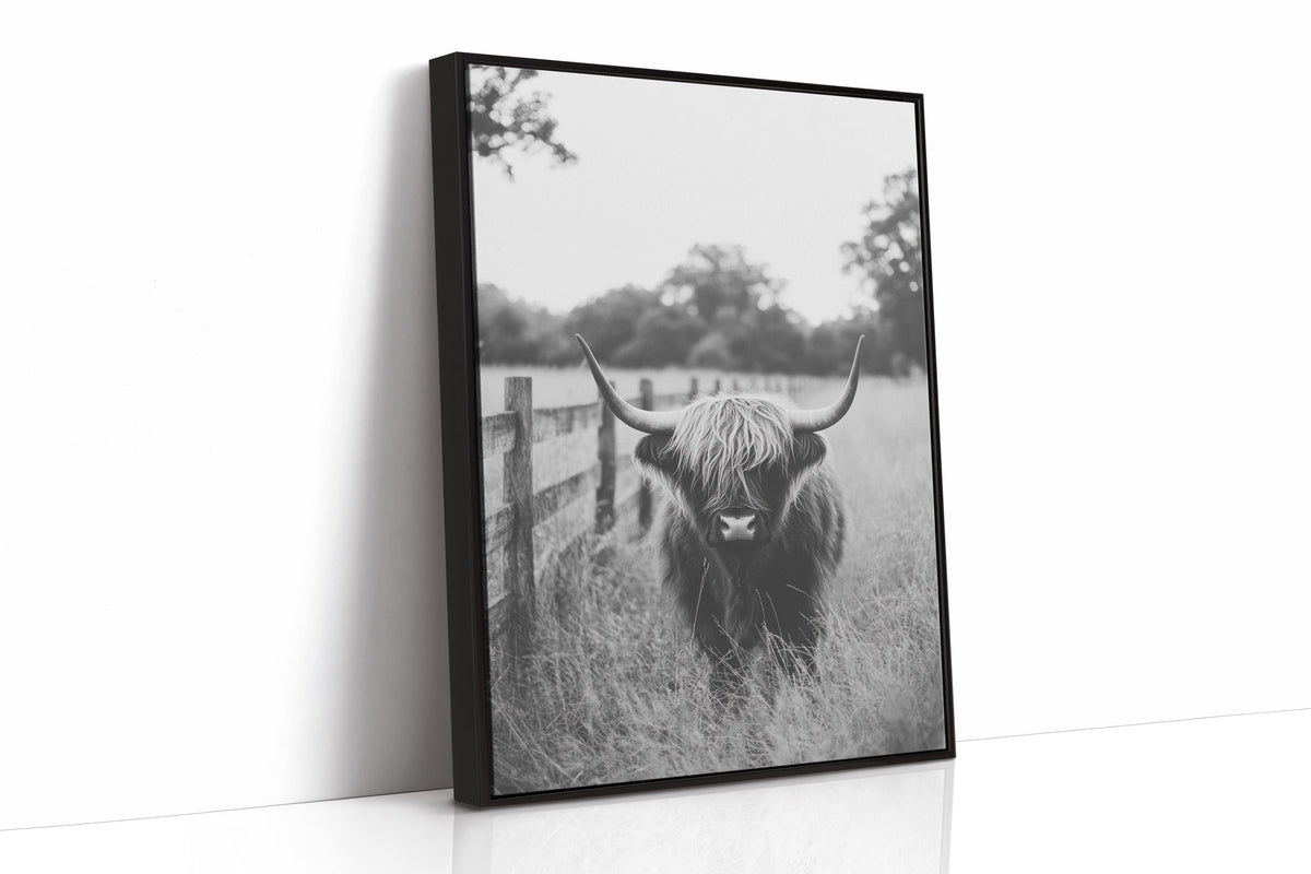 Highland Gaze in Black and White