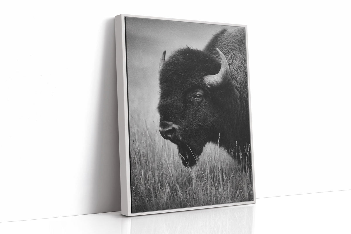 Eyes of the Prairie