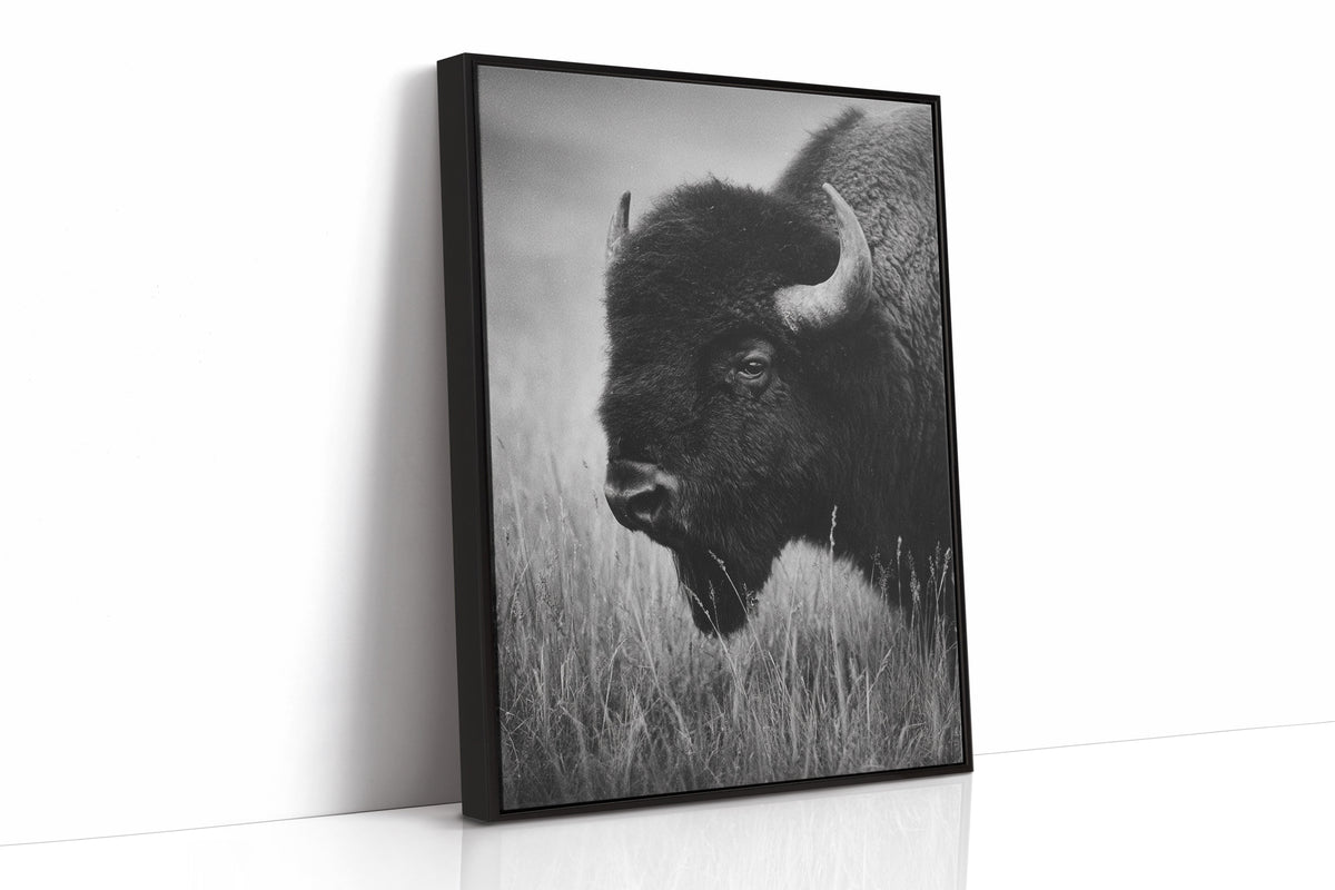 Eyes of the Prairie