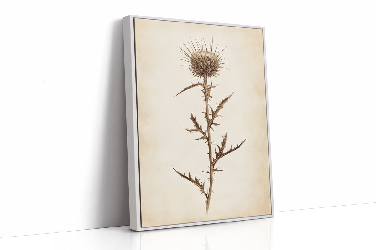 Vintage Thistle Botanical Print – Rustic Western Floral Wall Art