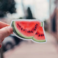 Watermelon Slice Fruit Decal Sticker