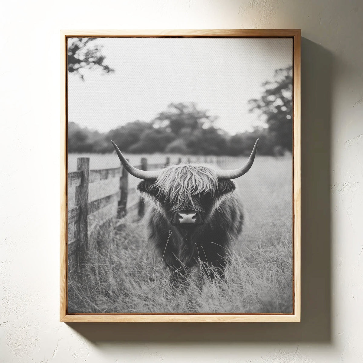Highland Gaze in Black and White