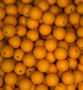 #97 PUMPKIN 15MM SOLID (10ct)