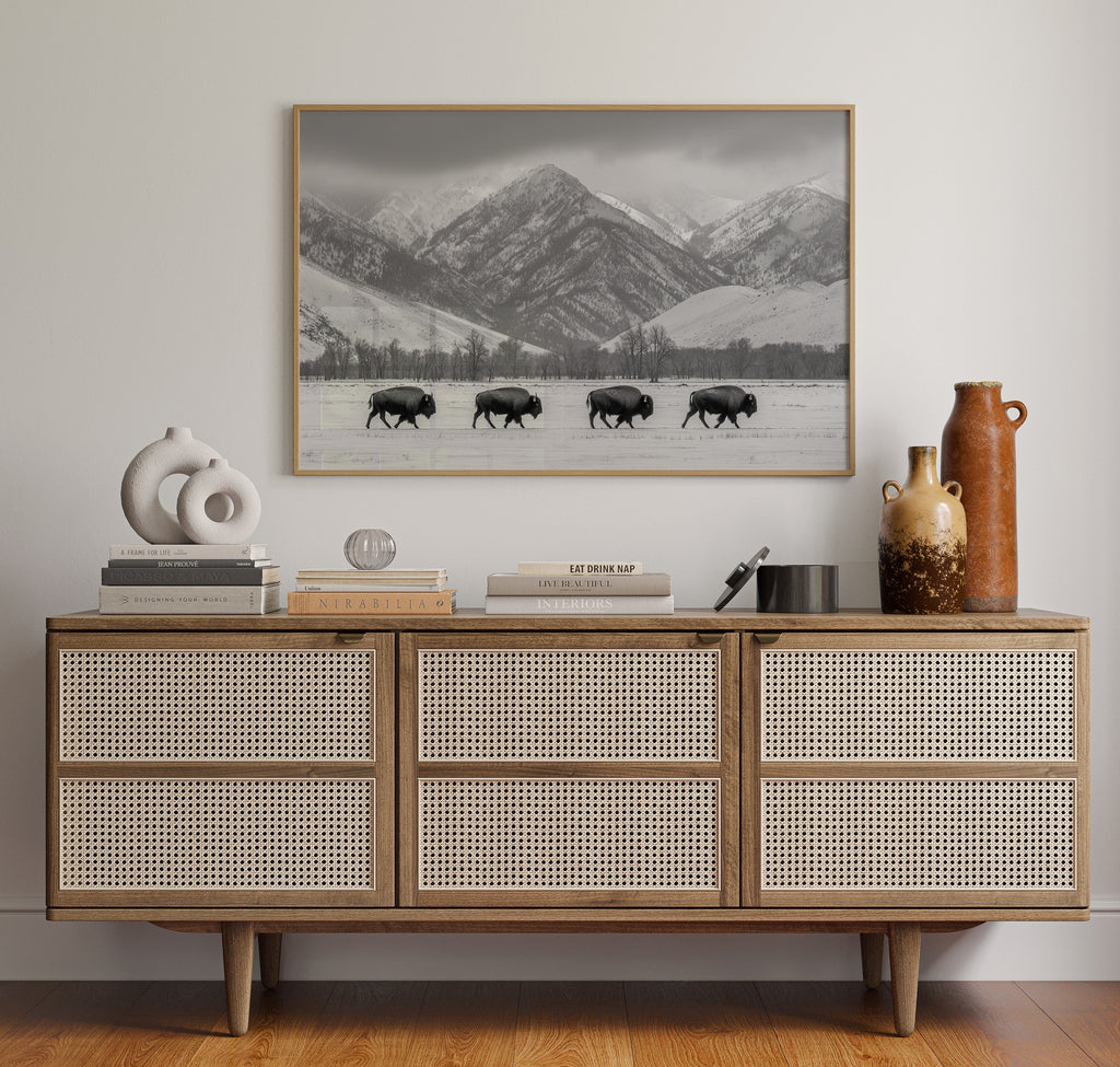 Where the Buffalo Roam