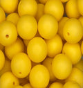 #155 SUNSHINE 15MM SOLID (10ct)