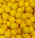 #253 PENCIL YELLOW 15MM SOLID (10ct)