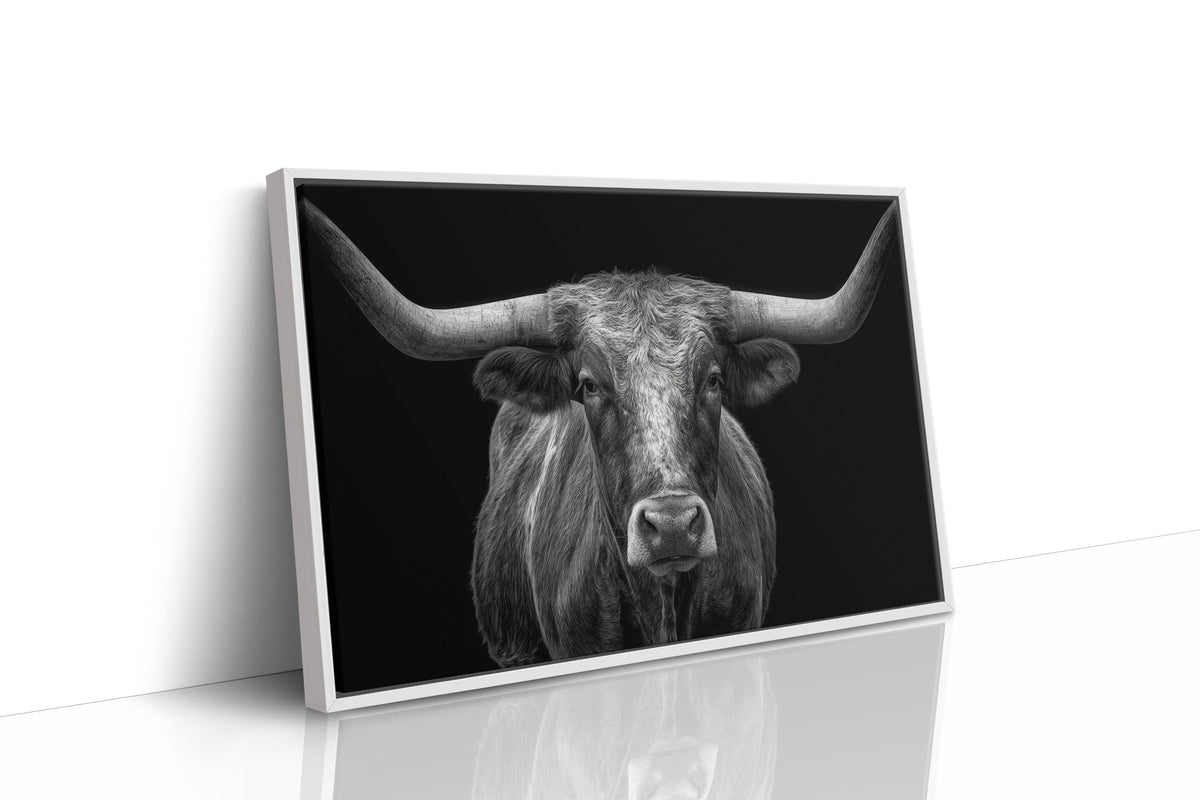 The Monarch of Texas