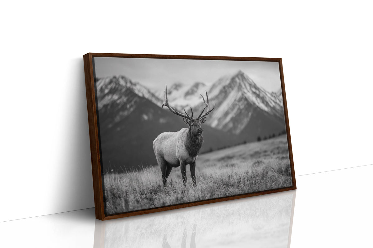 Crown of the Wilderness