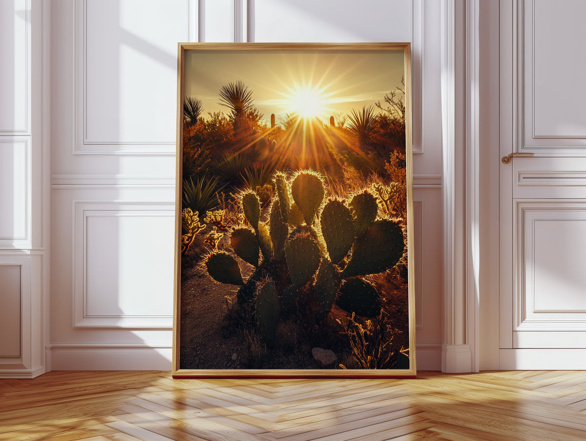 Desert Light Prickly Pear at Sunset