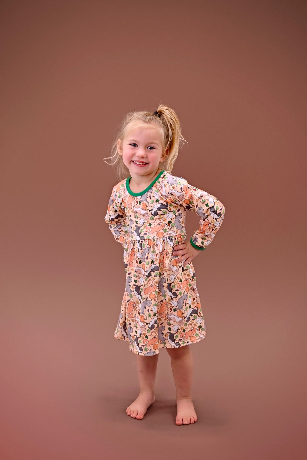 Kitties And Pumpkins Long Sleeve  Milk Silk Dress