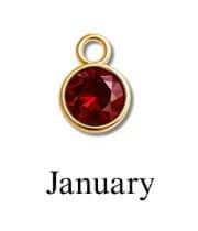 Chase Your Dreams Vertical Bar Necklace with Birthstone