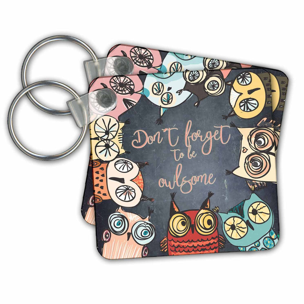 3dRose Key Chains Typography Owl Owls Illustration Fun funny animal bird chalkboard (kc-252393-1)