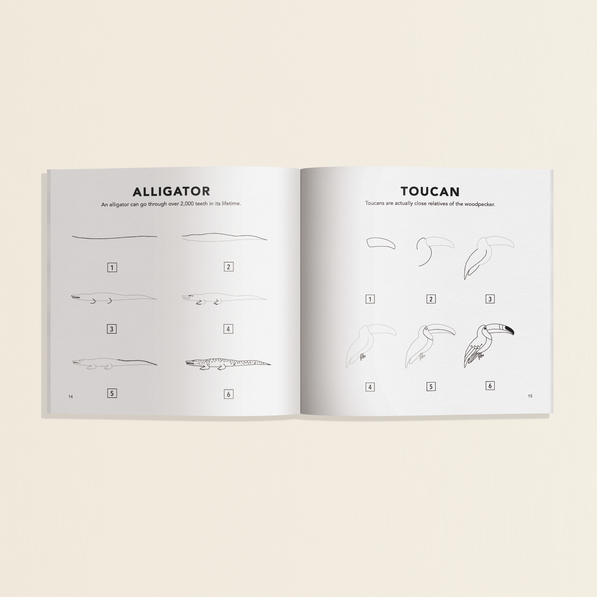 All the Animals: How to Draw Books for Kids [Mini] - Quarter Circle AK Boutique
