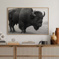 American Bison - Quarter Circle AK Boutique
