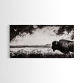Bison Landscape, Western Art, Black and White Buffalo, Rustic Home Decor, Southwestern Wall Art, Nature Artwork, Framed Canvas Print - Quarter Circle AK Boutique