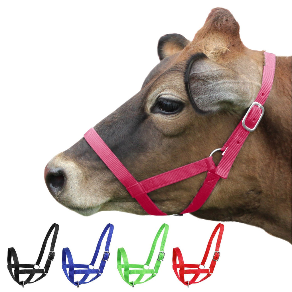 Derby Originals Adjustable Nylon Livestock Cattle Halters - Quarter Circle AK Boutique
