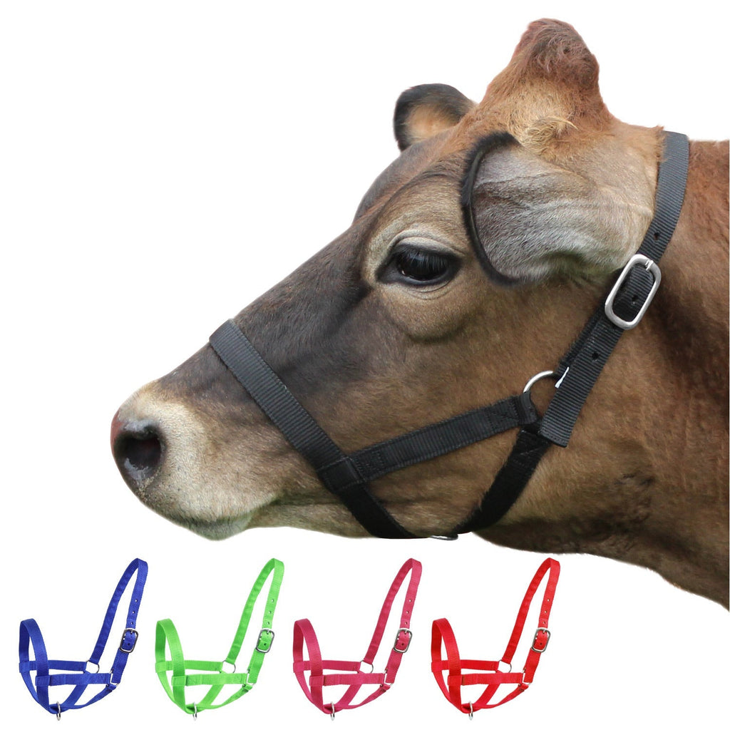 Derby Originals Adjustable Nylon Livestock Cattle Halters - Quarter Circle AK Boutique