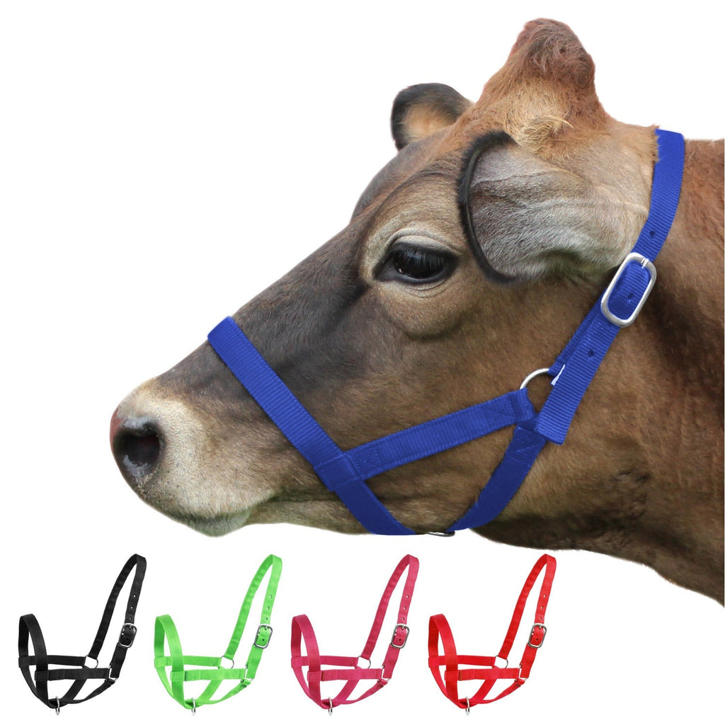 Derby Originals Adjustable Nylon Livestock Cattle Halters - Quarter Circle AK Boutique