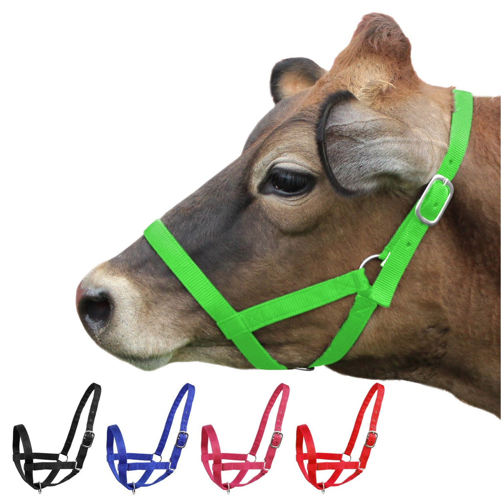 Derby Originals Adjustable Nylon Livestock Cattle Halters - Quarter Circle AK Boutique