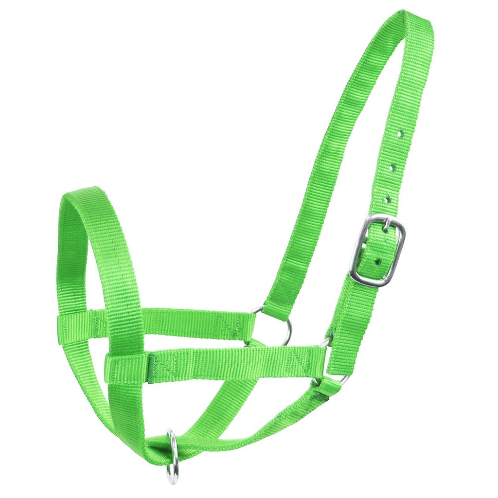 Derby Originals Adjustable Nylon Livestock Cattle Halters - Quarter Circle AK Boutique