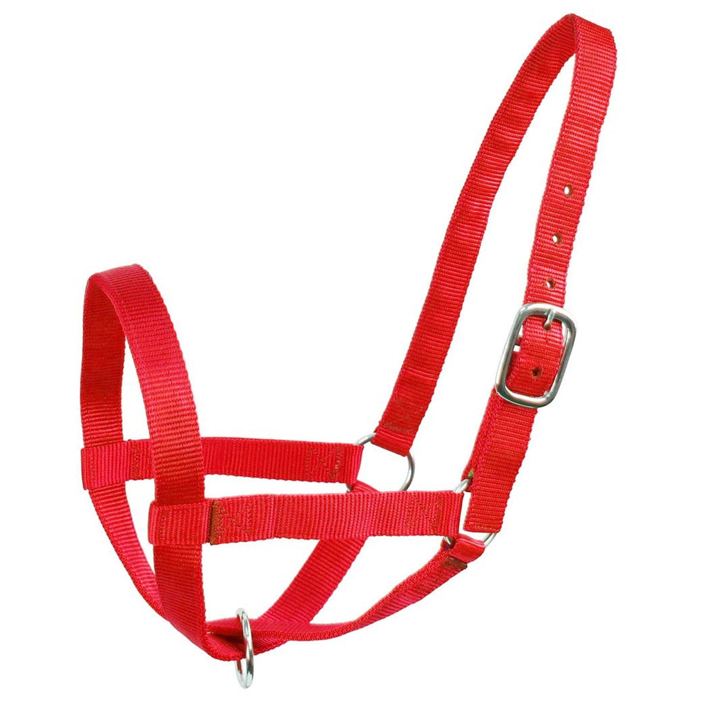 Derby Originals Adjustable Nylon Livestock Cattle Halters - Quarter Circle AK Boutique