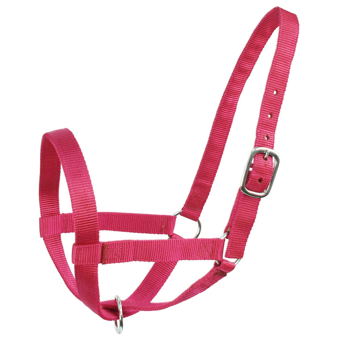 Derby Originals Adjustable Nylon Livestock Cattle Halters - Quarter Circle AK Boutique