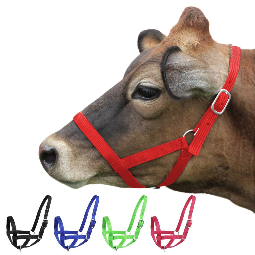 Derby Originals Adjustable Nylon Livestock Cattle Halters - Quarter Circle AK Boutique
