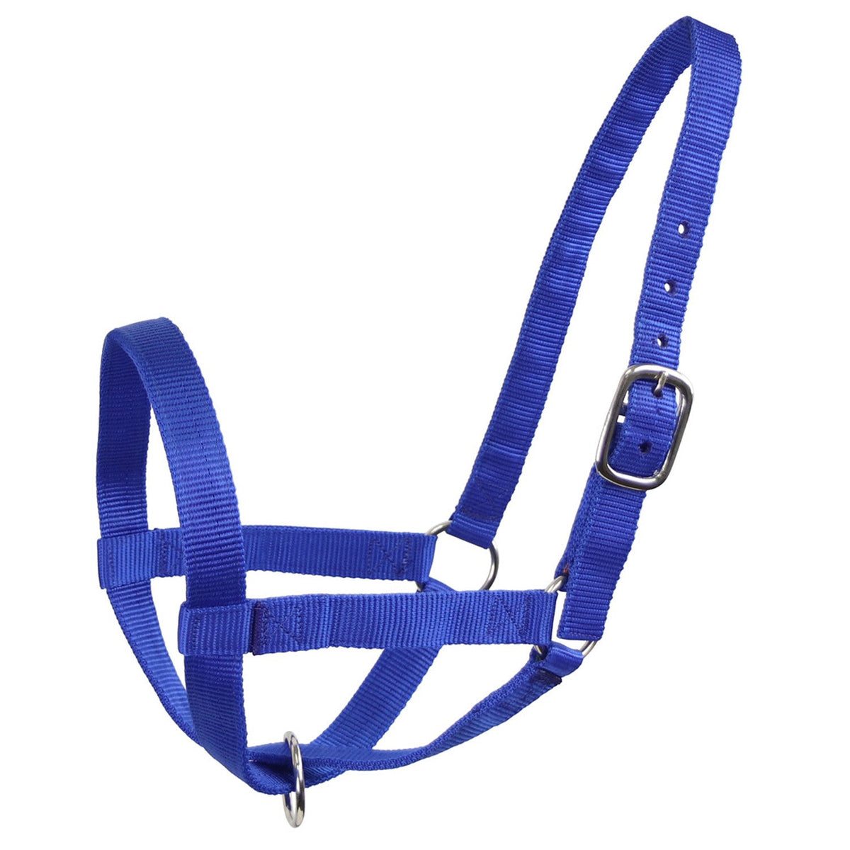 Derby Originals Adjustable Nylon Livestock Cattle Halters - Quarter Circle AK Boutique