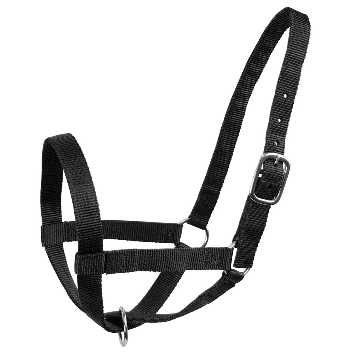 Derby Originals Adjustable Nylon Livestock Cattle Halters - Quarter Circle AK Boutique