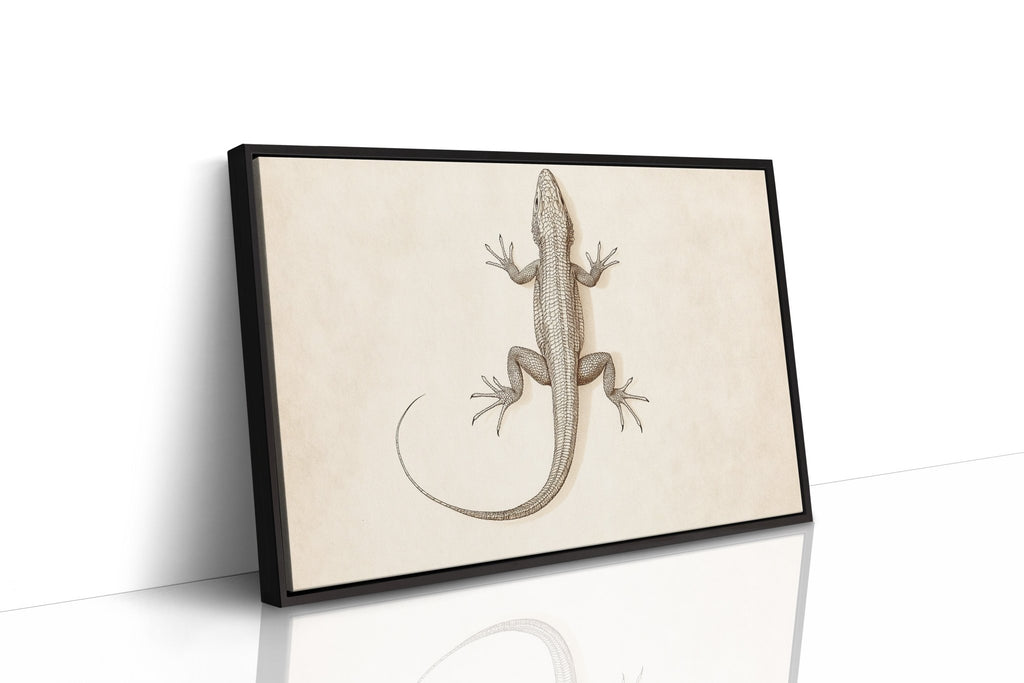 Desert Dweller – Vintage Lizard Scientific Illustration Print - Quarter Circle AK Boutique