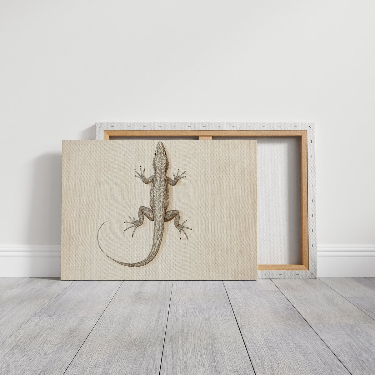 Desert Dweller – Vintage Lizard Scientific Illustration Print - Quarter Circle AK Boutique