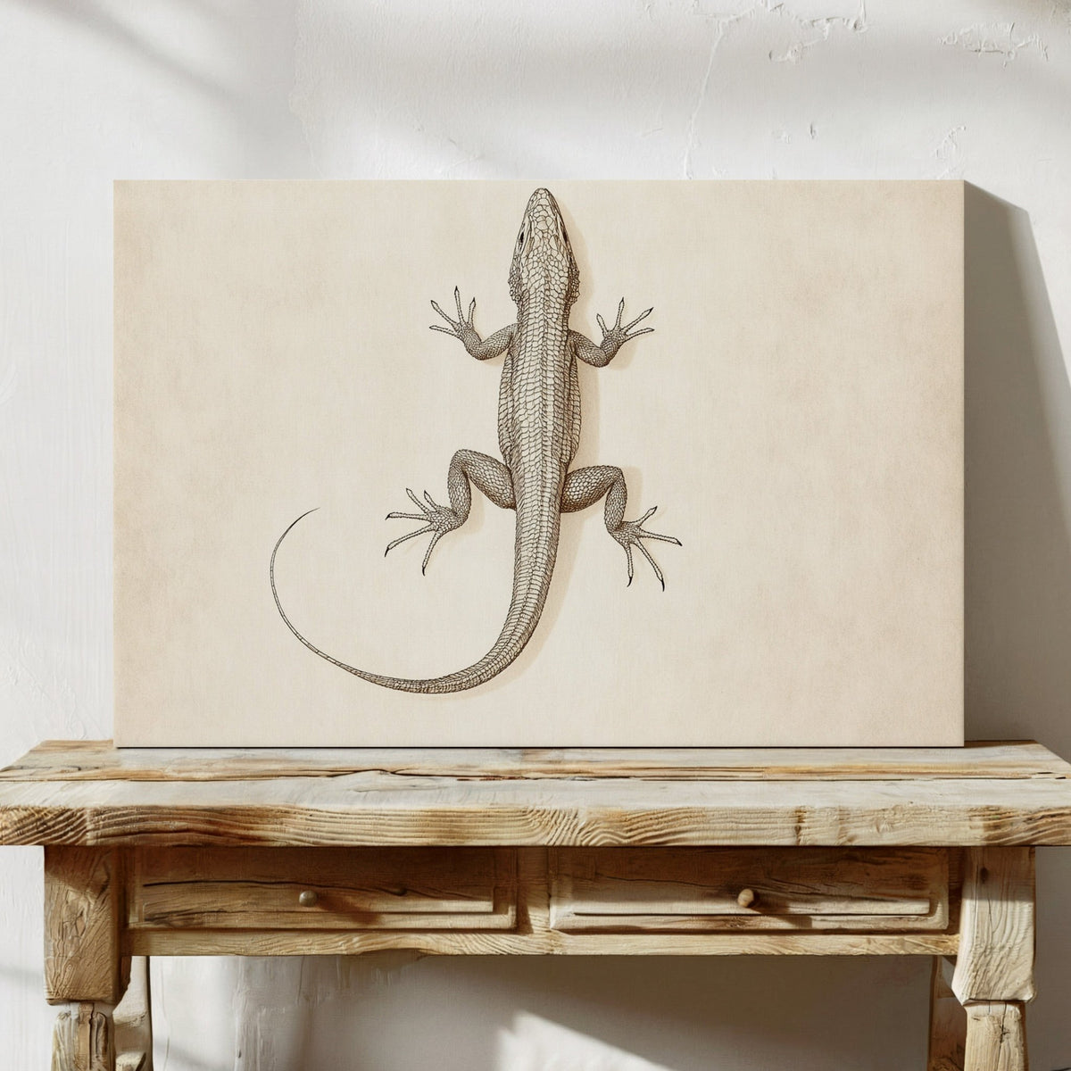 Desert Dweller – Vintage Lizard Scientific Illustration Print - Quarter Circle AK Boutique