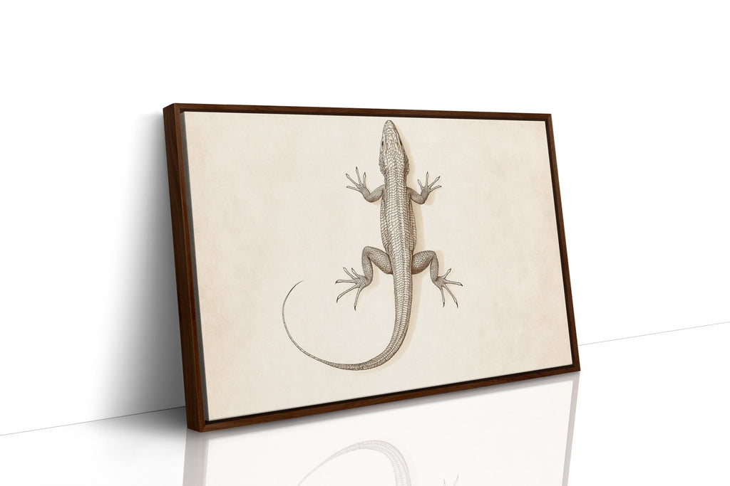 Desert Dweller – Vintage Lizard Scientific Illustration Print - Quarter Circle AK Boutique