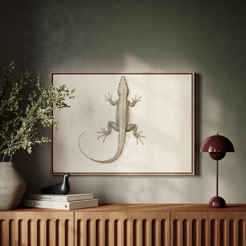 Desert Dweller – Vintage Lizard Scientific Illustration Print - Quarter Circle AK Boutique