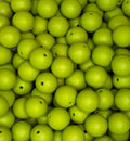 #23 OLIVE 15MM SOLID (10ct)