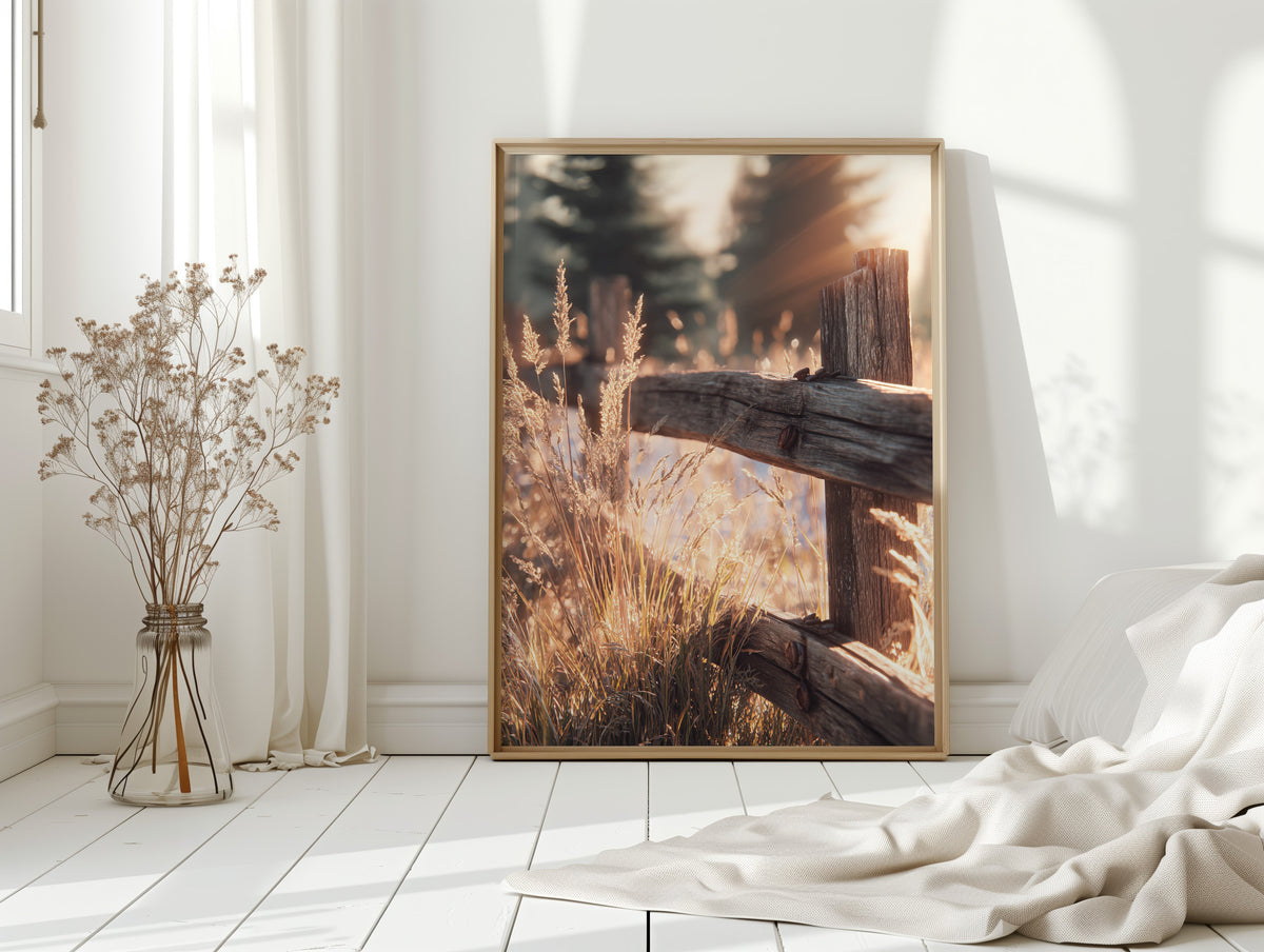 Golden Light on Weathered Wood