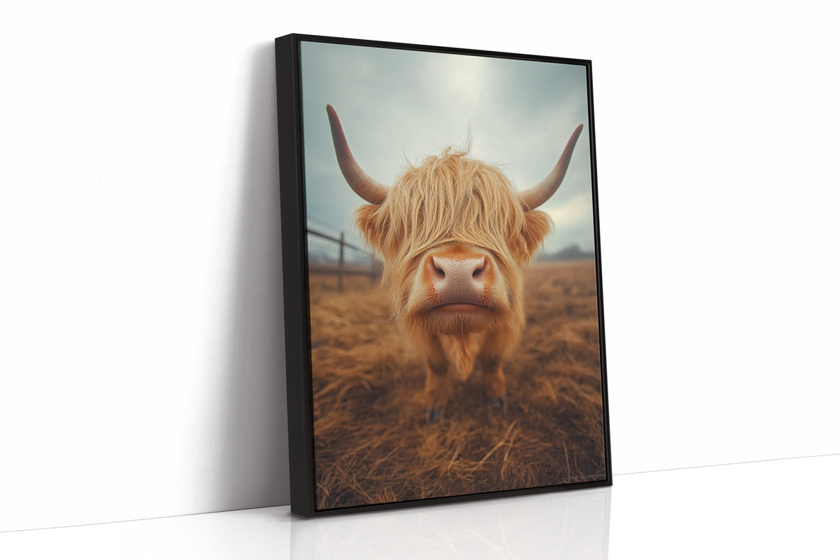 Golden Fluff and Attitude Highland Cow - Quarter Circle AK Boutique