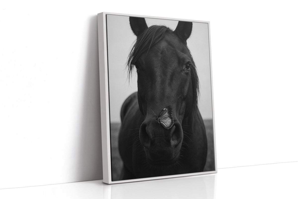 Grace and Shadow - Quarter Circle AK Boutique