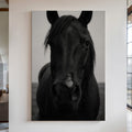 Grace and Shadow - Quarter Circle AK Boutique