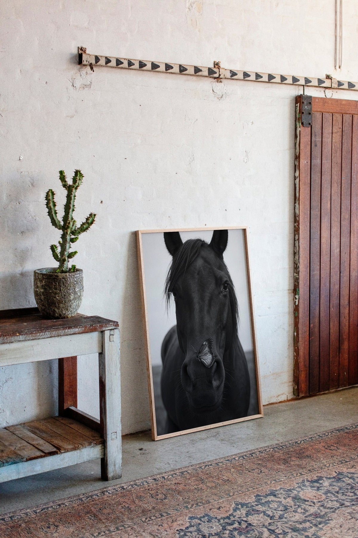 Grace and Shadow - Quarter Circle AK Boutique
