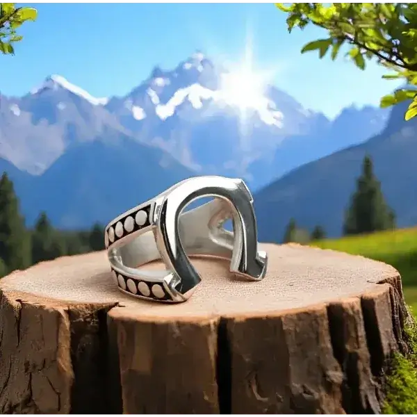 Horseshoe Stainless Steel Ring for Men, Western Jewelry