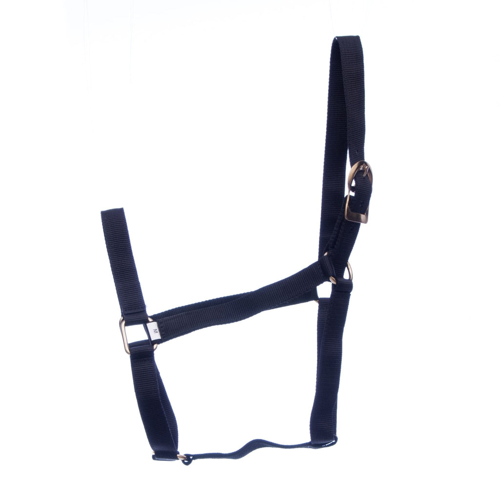 Jeffers Turnout Nylon Horse Halters, 2-Ply, 1" - Quarter Circle AK Boutique