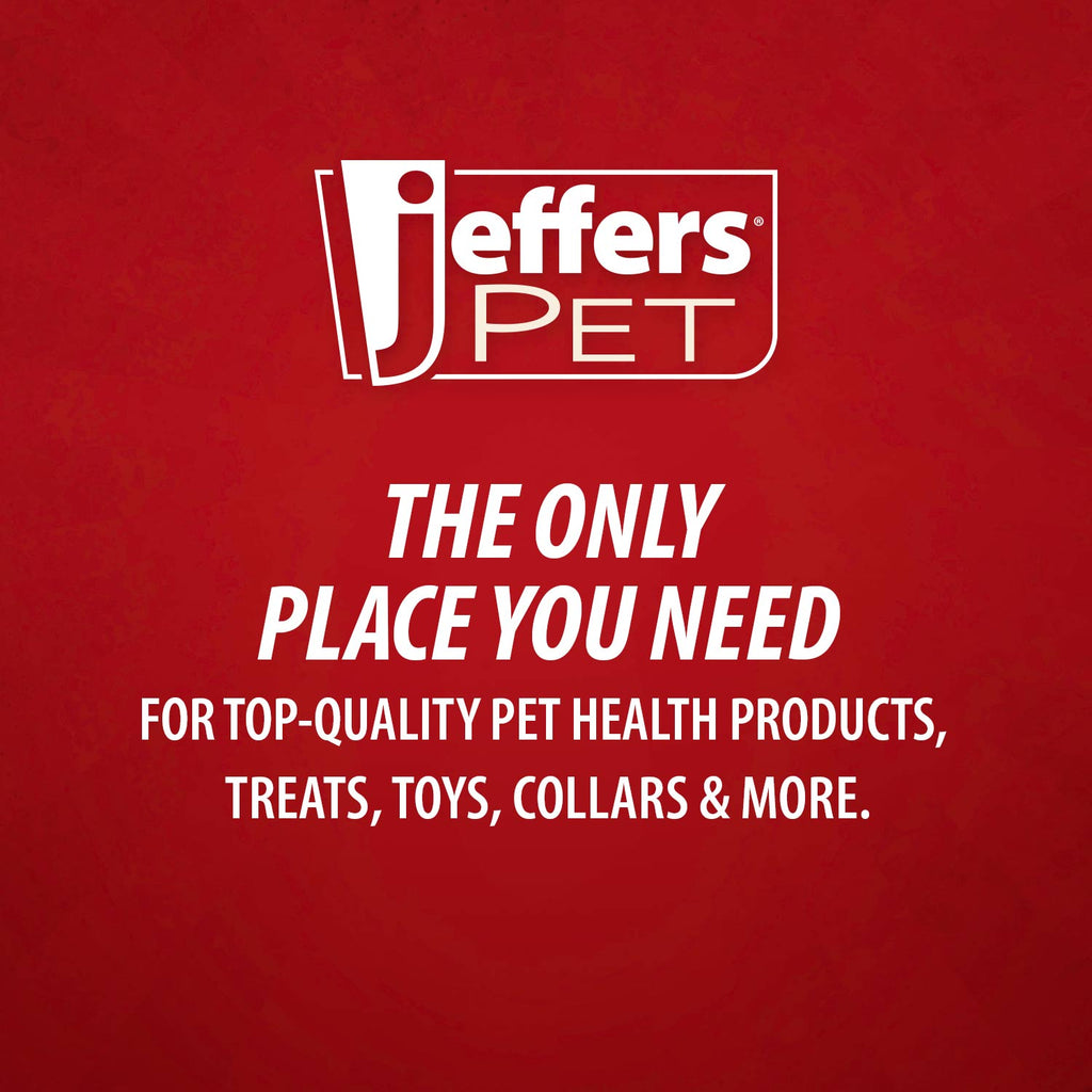 Jeffers Rolled Leather Dog Collars with Brass Hardware