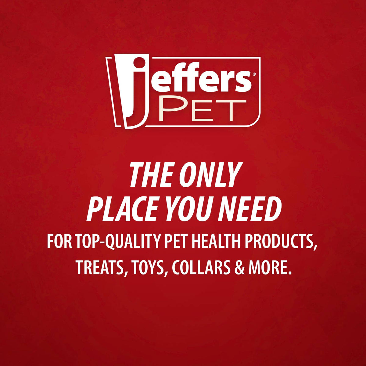 Jeffers Rolled Leather Dog Collars with Brass Hardware