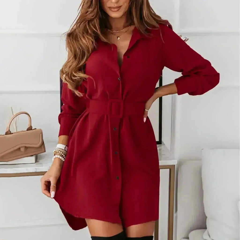Knee-Length Casual A-Line Slim Fit Shirt Dress with Long Sleeves - Quarter Circle AK Boutique