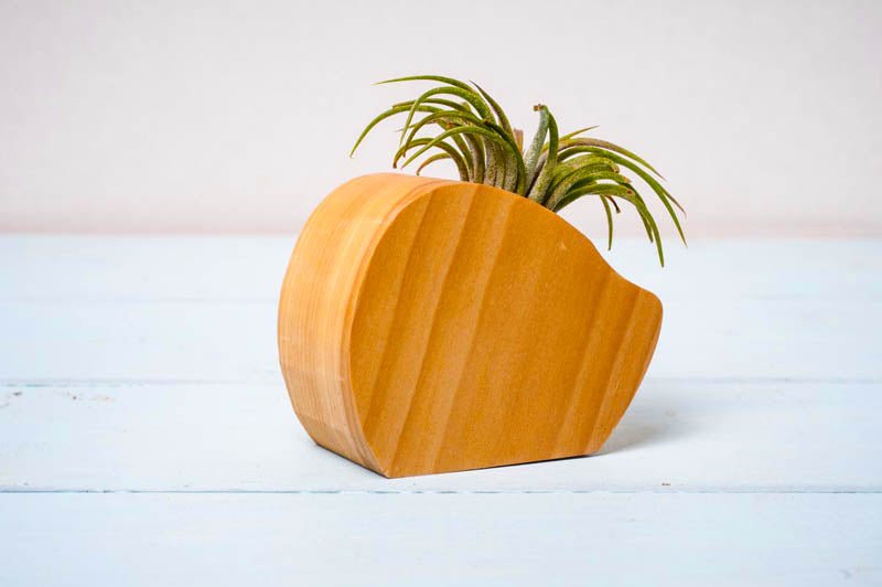 Little Air Plant Holder - Quarter Circle AK Boutique