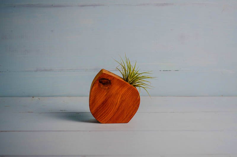 Little Air Plant Holder - Quarter Circle AK Boutique