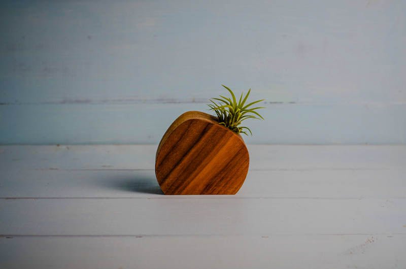 Little Air Plant Holder - Quarter Circle AK Boutique